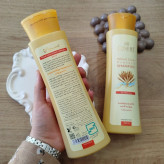 شامپو تقویت کننده مو سینره مدل Wheat Germ حجم 250 میلی لیتر