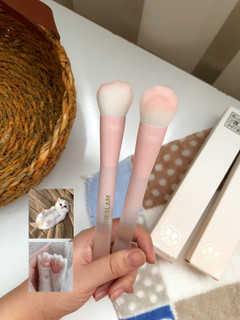 براش رژ گونه پنجه گربه ای شیگلم مدل Color Bloom ( اورجینال دارای QR کد )🐾